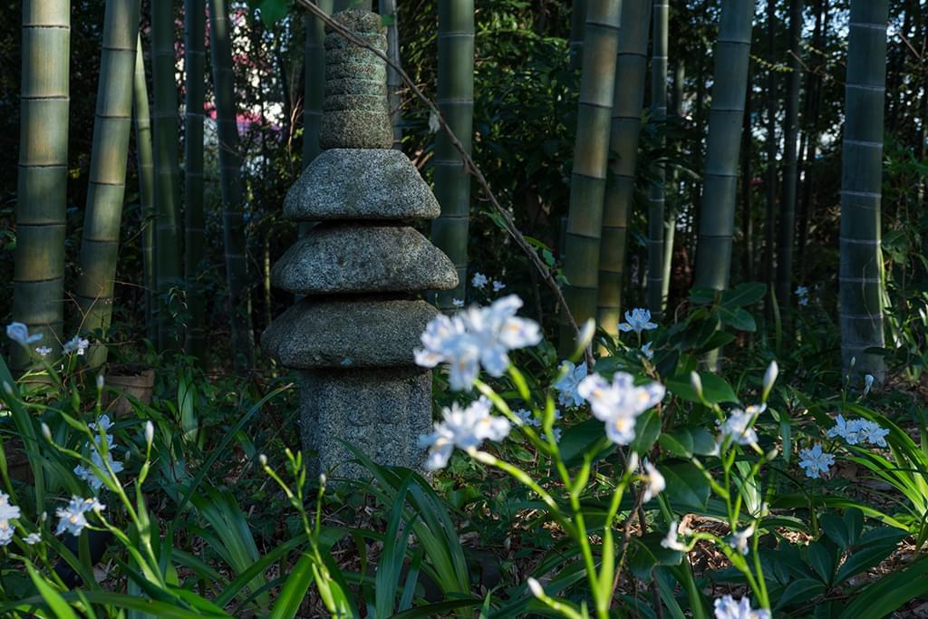 竹林にたたずむ小さな三重塔