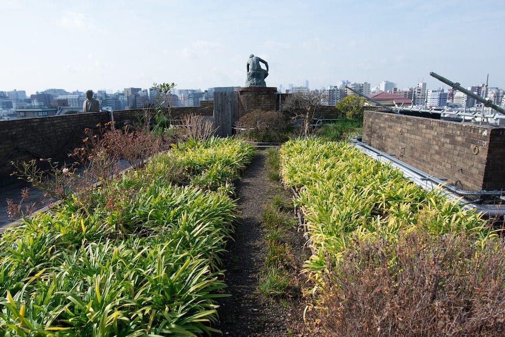 屋上庭園