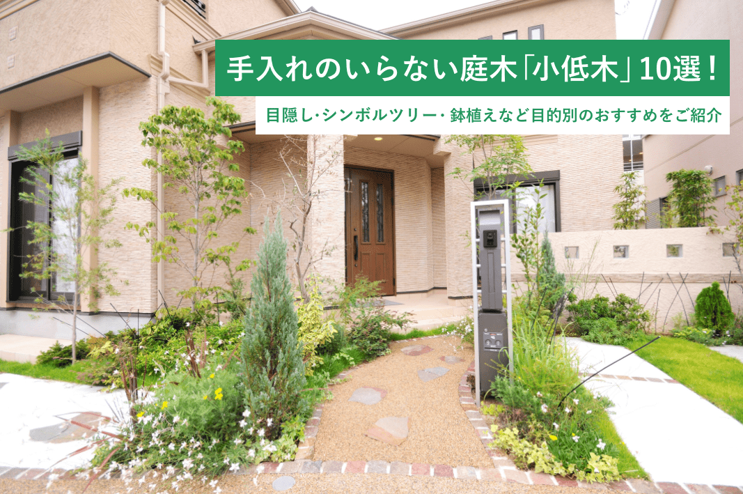 手入れのいらない庭木「小低木」10選！目隠し・シンボルツリー・鉢植えなど目的別のおすすめをご紹介